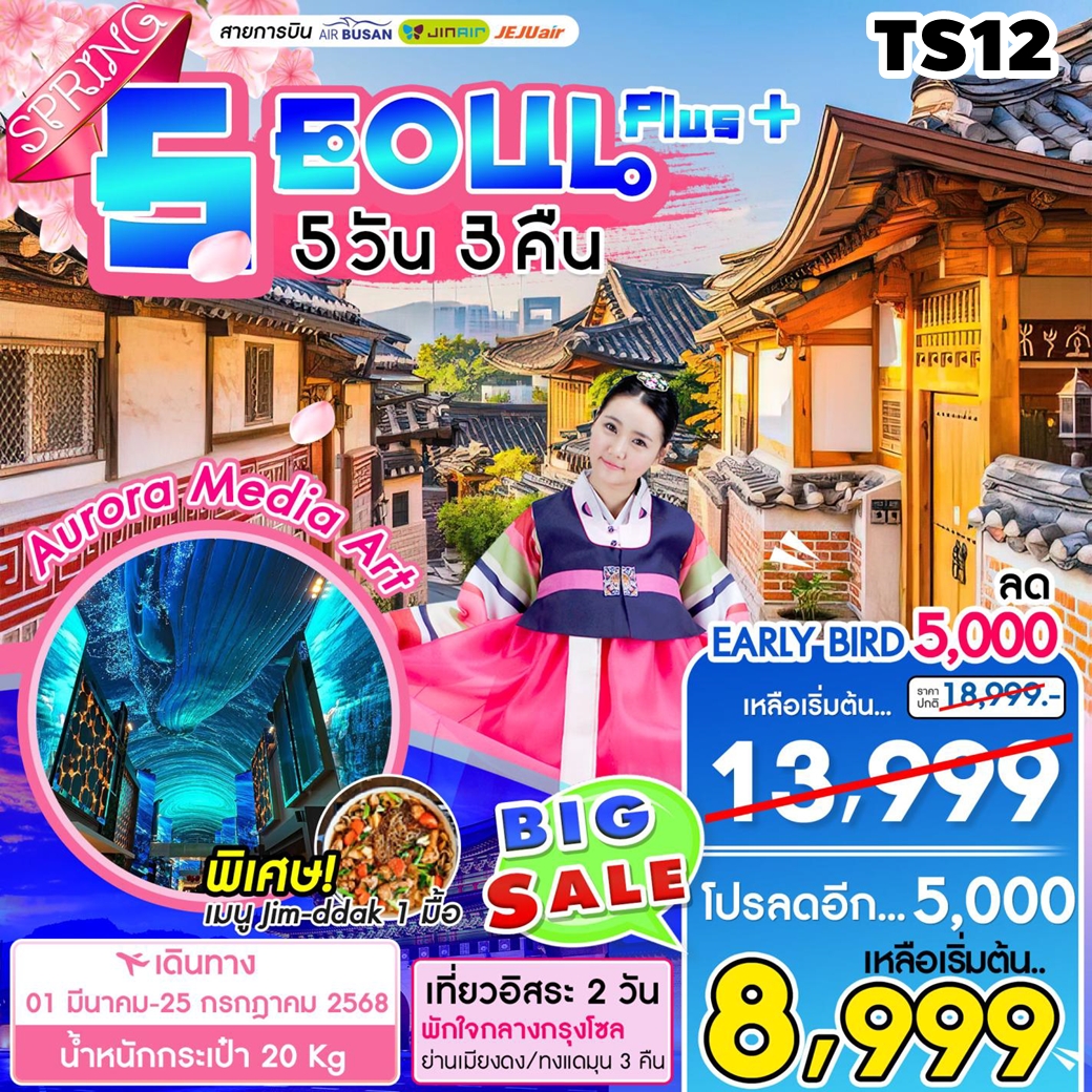 TS12 ทัวร์เกาหลี โซล Seoul Plus Spring 5D3N 7C 1MAR-25JUL25