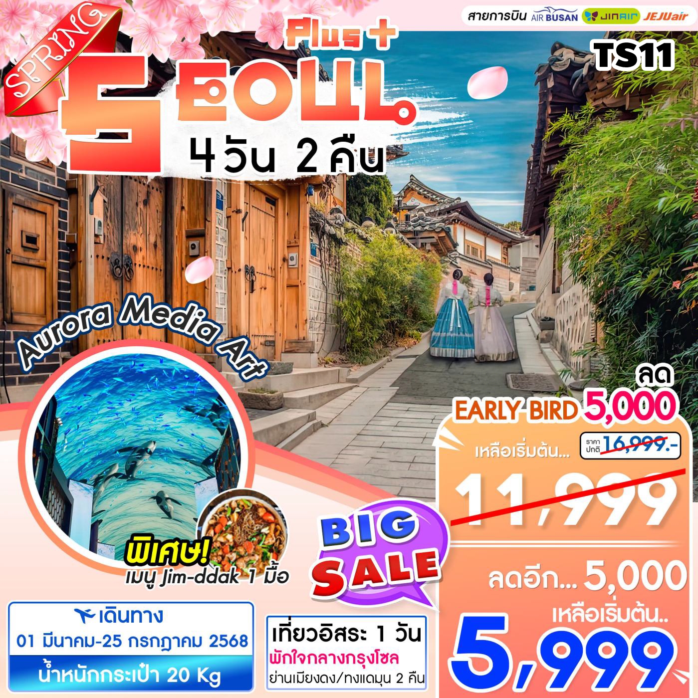 TS11 ทัวร์เกาหลี โซล Seoul Plus Spring 4D2N 7C 1MAR-25JUL25