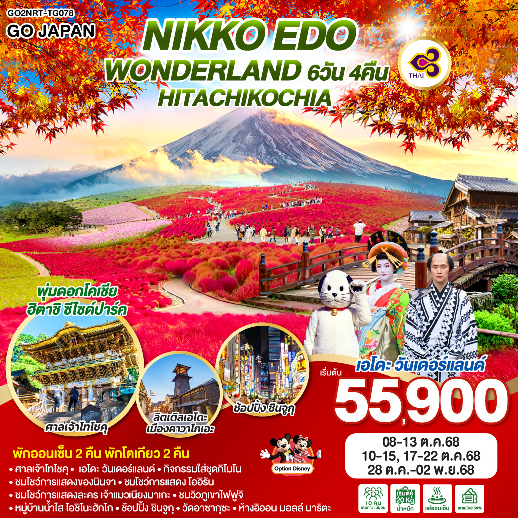 ทัวร์ญี่ปุ่น NIKKO EDO WONDERLAND HITACHIKOCHIA 6วัน 4คืน (TG)