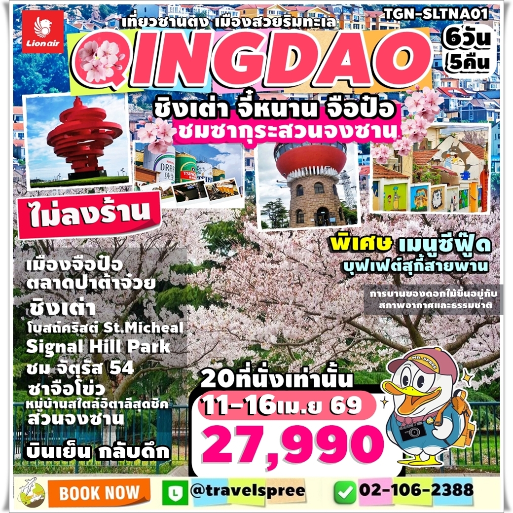 TGN-SLTNA01 เที่ยวซานตง ไม่ลงร้าน วันหยุดสงกรานต์ ชมเมืองสวยริมทะเล ชิงเต่า จี๋หนาน จือป๋อ ชมซากุระสวนจงซาน 6วัน 5คืน SL บินเย็นกลับดึก