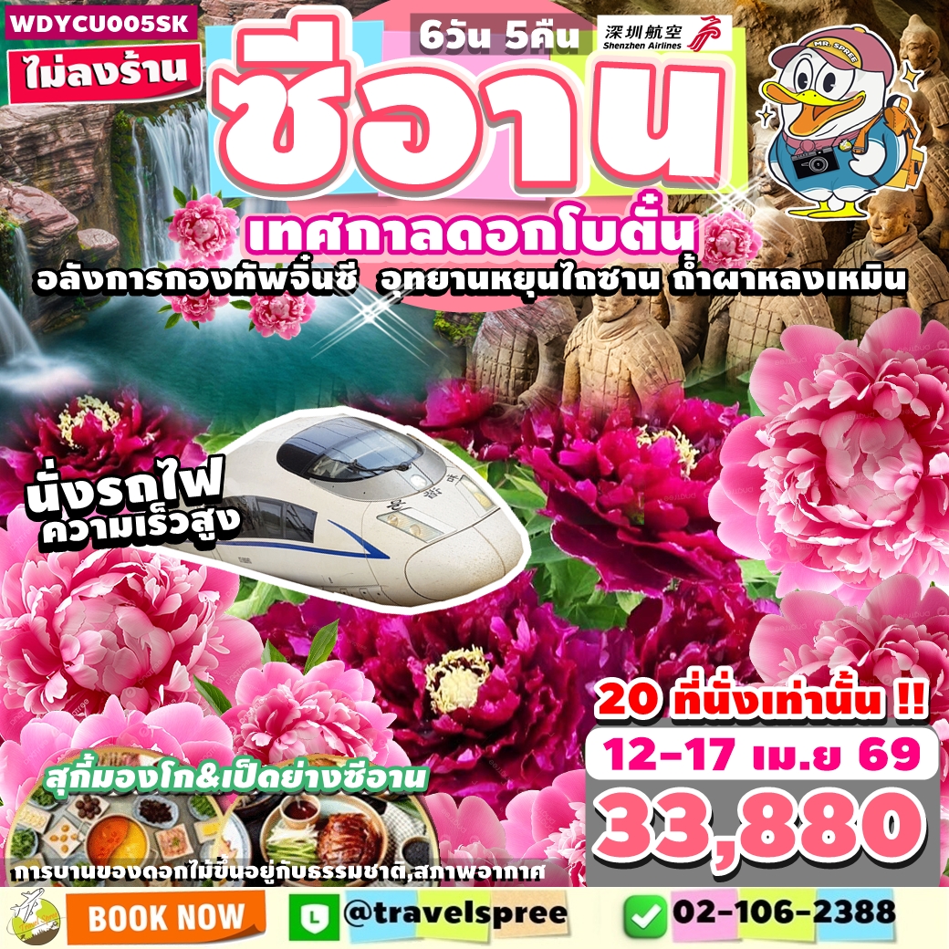 WDYCU005SK ทัวร์จีน ซีอาน สงกรานต์ เทศกาลดอกโบตั๋น นั่งรถไฟความเร็วสูง กองทัพจิ๋นซี อุทยานหยุนไถซาน ถ้ำผาหลงเหมิน ไม่ลงร้าน 6วัน5คืน ZH