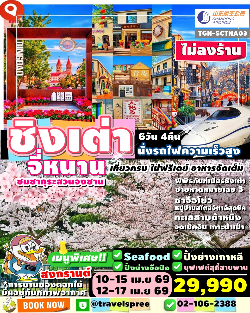 TGN-SCTNA03 ทัวร์จีน ชิงเต่า วันหยุดสงกรานต์ ชิงเต่า จี่หนาน นั่งรถไฟความเร็วสูง SONGKRAN ULTIMATE SHANDONG EXPERIENCE 6วัน4คืน SC ไม่ลงร้าน