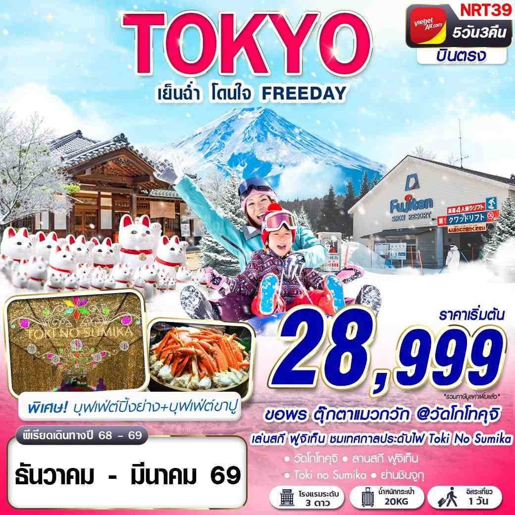 ทัวร์ญี่ปุ่น TOKYO WINTER เย็นฉ่ำ โดนใจ (ฟรีเดย์) 5วัน 3คืน (VZ)