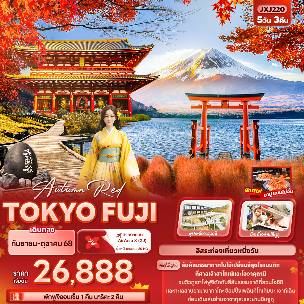 ทัวร์ญี่ปุ่น   TOKYO FUJI 5วัน 3คืน  (XJ)