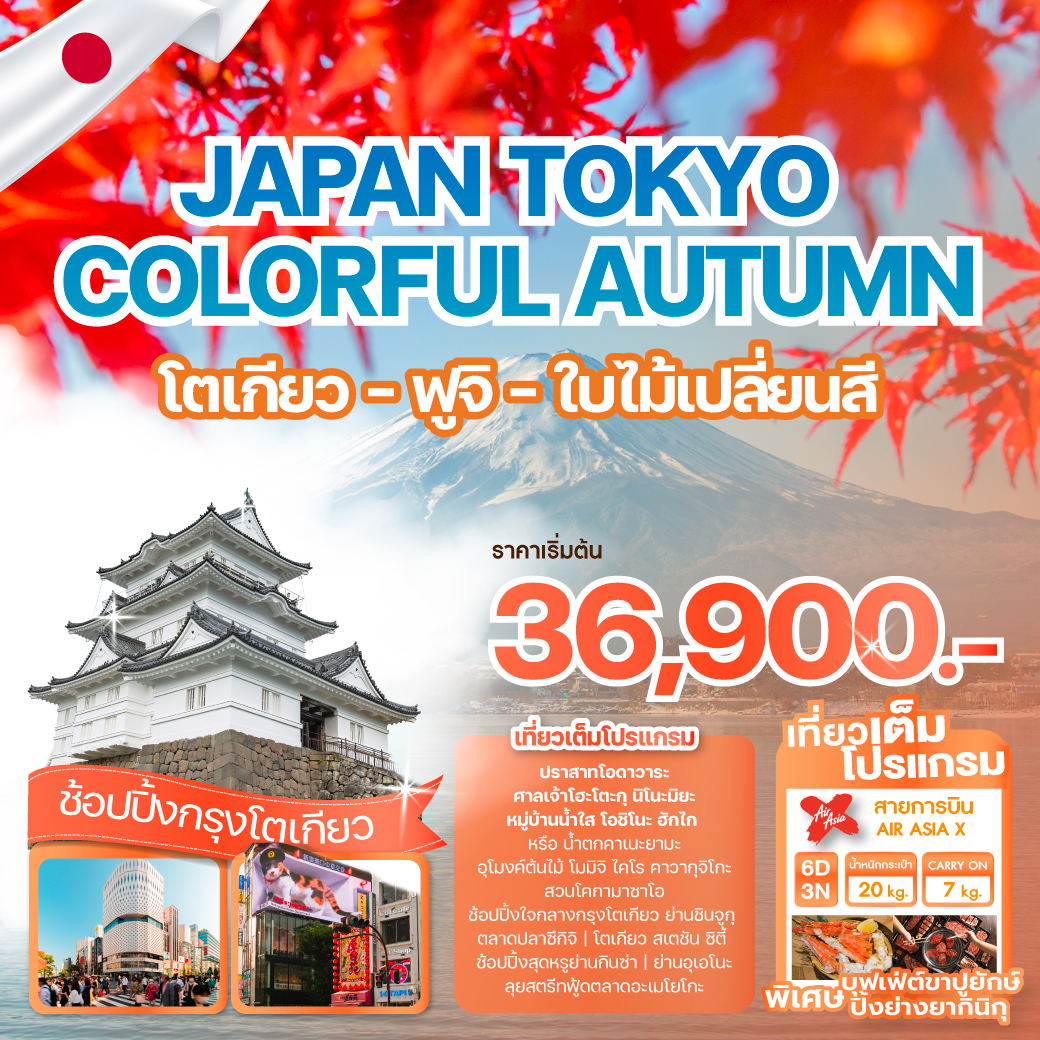ทัวร์ญี่ปุ่น JAPAN TOKYO COLORFUL AUTUMN 6วัน 3คืน (XJ)