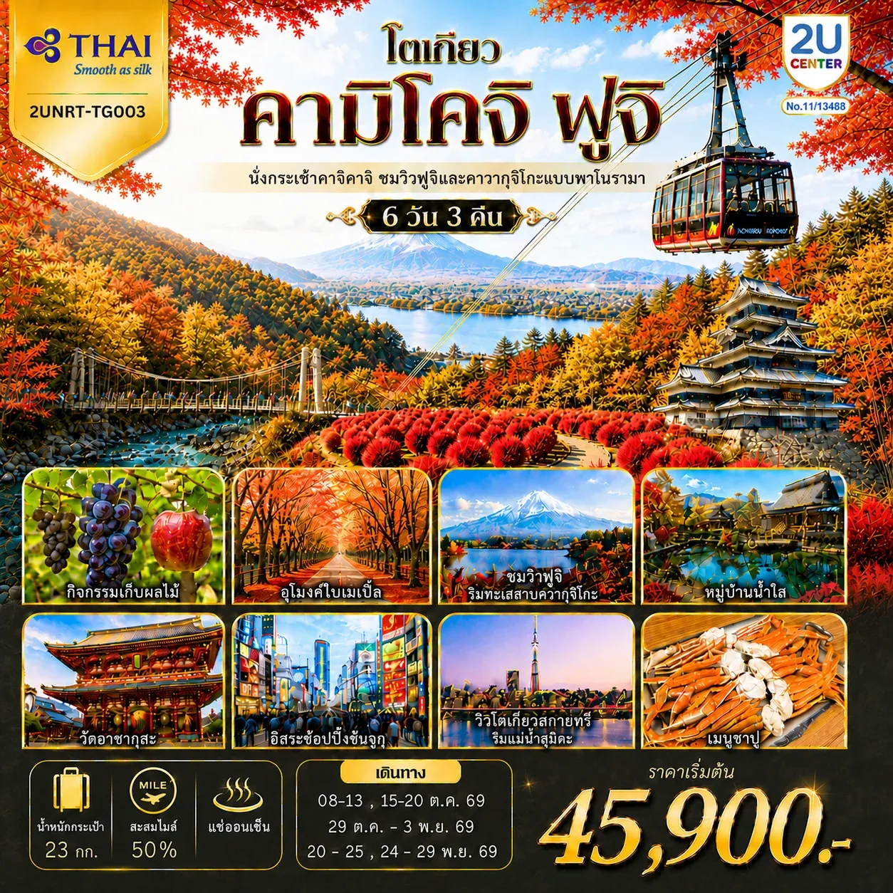 ทัวร์ญี่ปุ่น โตเกียว คามิโคจิ ฟูจิ นั่งกระเช้าคาจิคาจิ AUTUMN FULL BLOOM 6วัน 3คืน (TG)