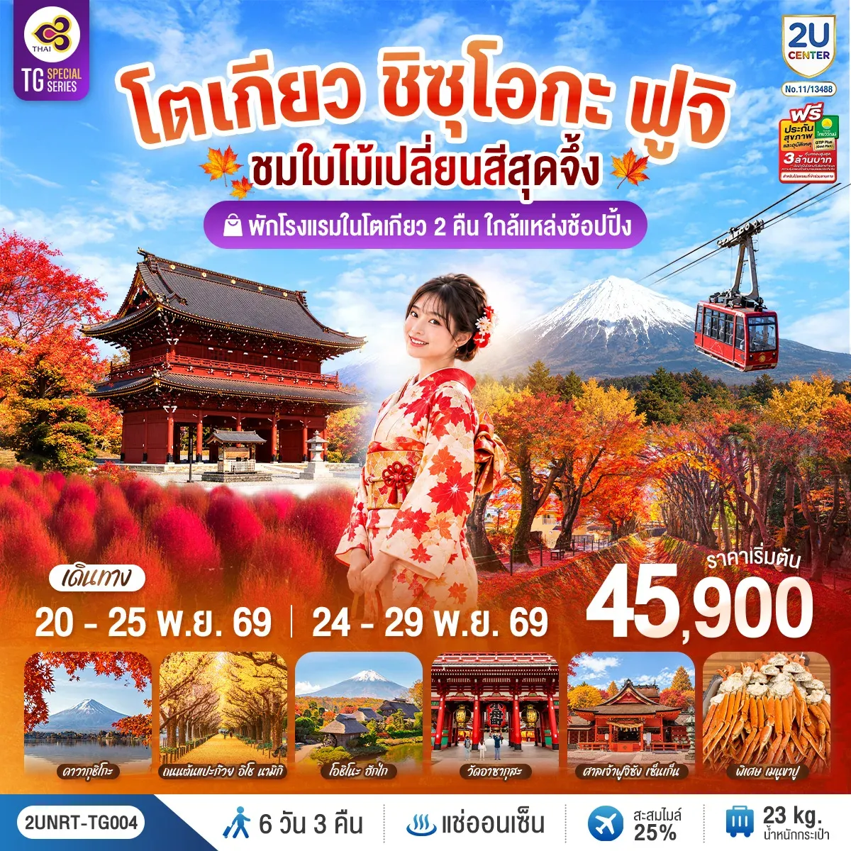 โตเกียว ชิซุโอกะ ฟูจิ นั่งกระเช้าคาจิคาจิ ชมใบไม้เปลี่ยนสีสุดจึ้ง 6วัน 3คืน (TG)