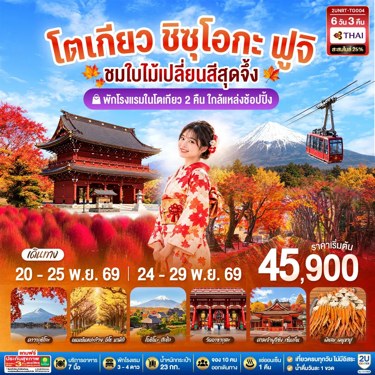 โตเกียว ชิซุโอกะ ฟูจิ นั่งกระเช้าคาจิคาจิ ชมใบไม้เปลี่ยนสีสุดจึ้ง 6วัน 3คืน (TG)