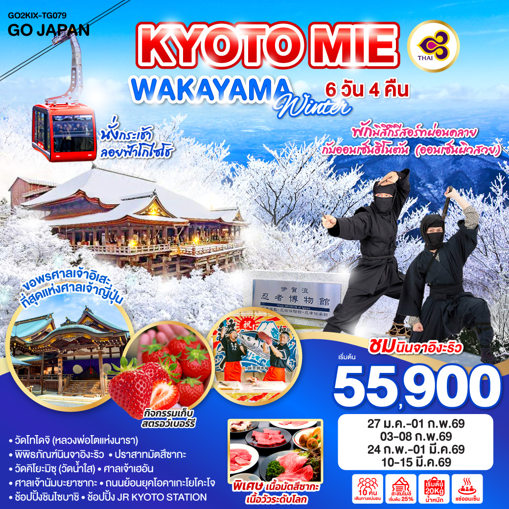 KYOTO MIE WAKAYAMA WINTER 6D 4N โดยสายการบินไทย [TG]